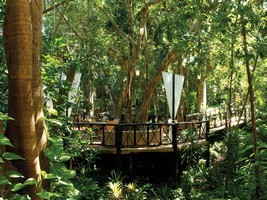 The Reef Playacar