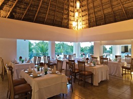 The Reef Playacar