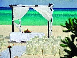 The Reef Playacar