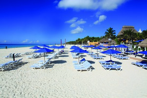 The Reef Playacar