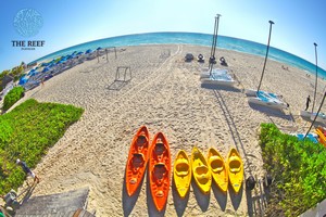 The Reef Playacar